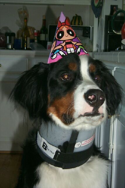 Birthday-Boy3.jpg