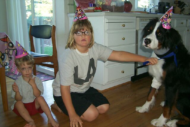 Party-Animals.jpg
